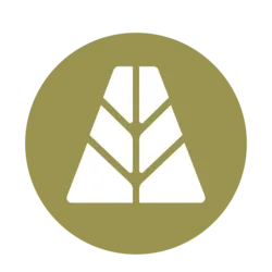 AUSD