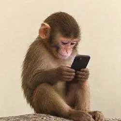 apeonfone (FONE)