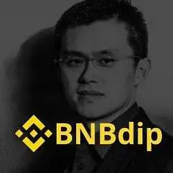 BNBDIP