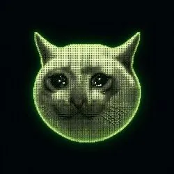 Cashcat Chain (CCC) Price Prediction