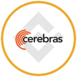Cerebras (bStocks Tokenized Stock) (CBRSB)