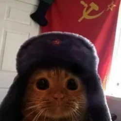 /static-backend/exchangeBm-upload/img/seo/SEO_communist-cat.png?x-oss-process=image/format,webp