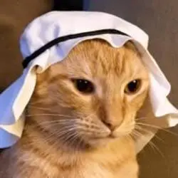 Crude Cat (CRUDECAT) Price Prediction
