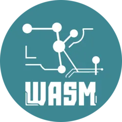 ZKWASM
