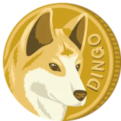 DINGO