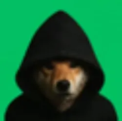 /static-backend/exchangeBm-upload/img/seo/SEO_dog-in-hood.jpg?x-oss-process=image/format,webp