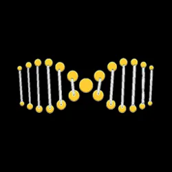 xdna