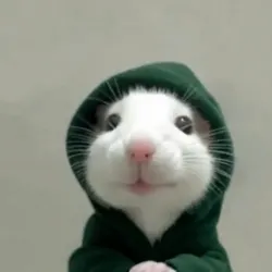 hoodrat