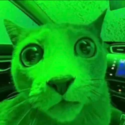 Market Cat (MARKETCAT) Price Prediction