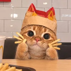 mccat