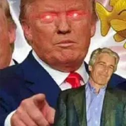 MEMES