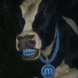 moo
