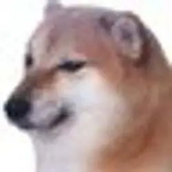 pochita