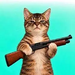 pumpcat