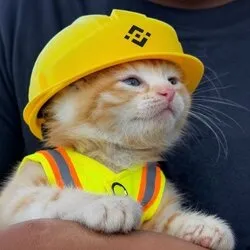 施工猫 (Construction Cat) (SUE)