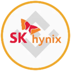 SK Hynix (bStocks Tokenized Stock) (SKHYB)