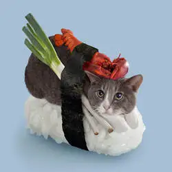 sushicat (SUSHICAT) Price Prediction