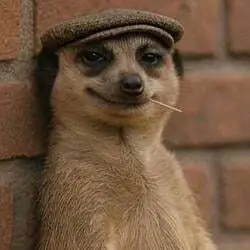 MEERKAT