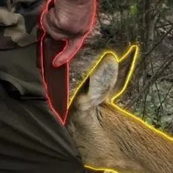 The Rousseauian Deer (DEER)