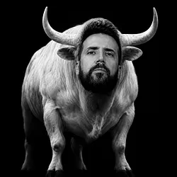 The White Bull (GOKHSHTEIN)