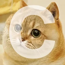 Tsutsuji the Cate (CATE)