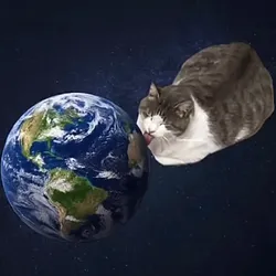 world licking cat (LICKINGCAT) Price Prediction