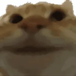 yepcat (YEP) Price Prediction