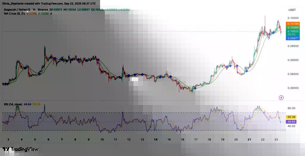 Biểu đồ giá Dogecoin (DOGE), nguồn: TradingView