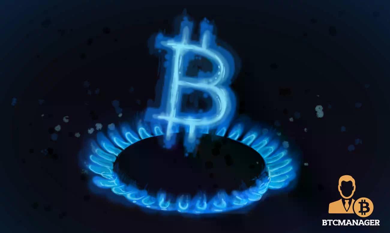 zcash-crisis-deepens-as-david-schwartz-explains-lonely-coins