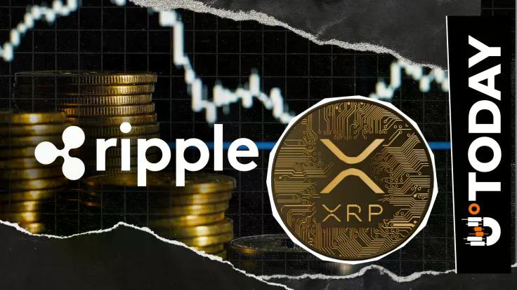 ripples-latest-xrp-bag-smashes-last-years-average-5-billion-xrp-now-in-spendable-wallets