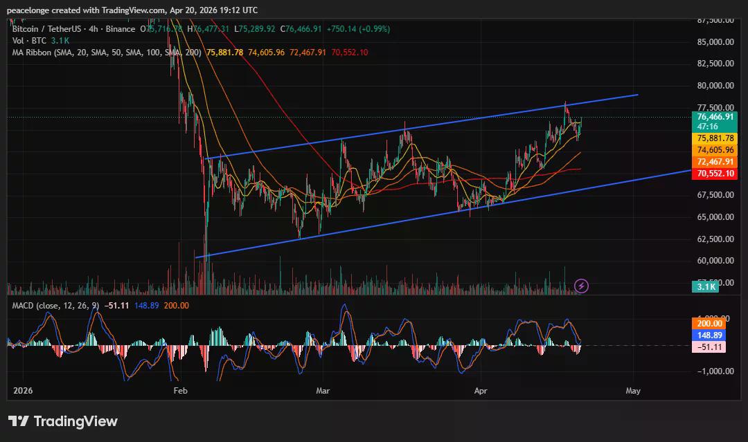 Akankah harga Bitcoin menembus di atas $77,500 atau berbalik arah saat MACD 4H mencetak persilangan bearish pada resistensi saluran naik? - 2