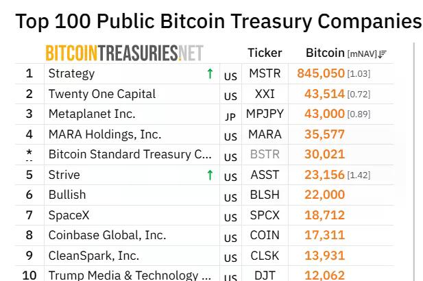 BitcoinTreasuries.net ranking shows Strive as the fifth-largest public Bitcoin treasury company with 23,156 BTC, ahead of Bullish and SpaceX.