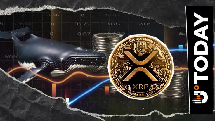 190-million-xrp-purchased-by-whales-in-past-week-amid-price-fall