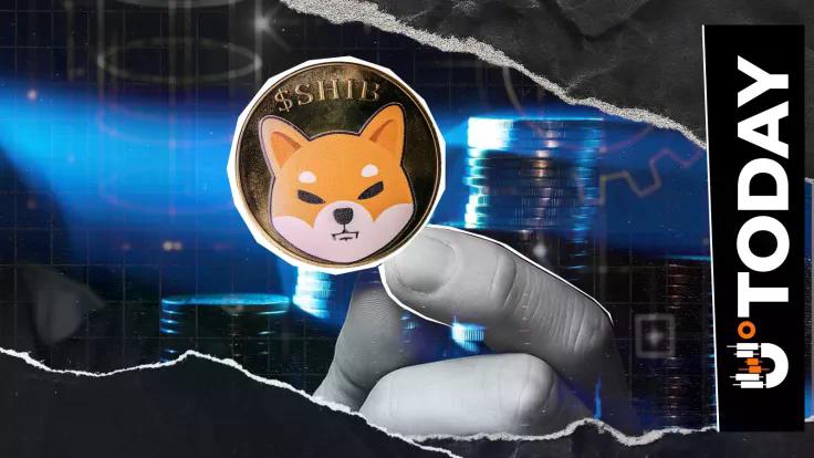 nothing-to-do-with-shib-price-shiba-inu-lead-ambassador-teases-update-ahead