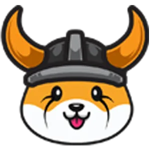 如何買FLOKI?