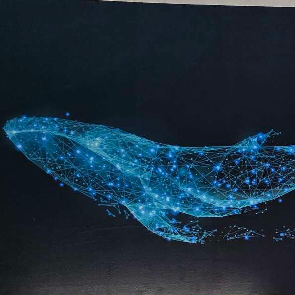 cryptoWhale